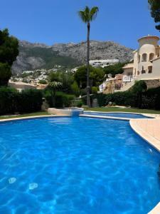 a large swimming pool with a palm tree in the background at Blue Emi Altea Hills in Altea la Vieja