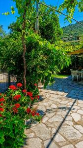 a garden with red flowers and a tree at Grapes and Roses in Igoumenitsa