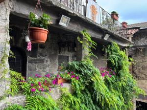 a stone building with plants and flowers on it at La Torre a colori in Esine