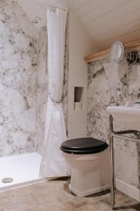 a bathroom with a toilet and a shower and a sink at Caerketton Cabin in Kirknewton