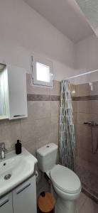 a bathroom with a toilet and a sink and a window at Imeros Summer Home in Ímeros