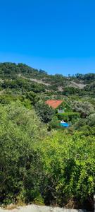 a house on the side of a hill with trees at Apartment Glavica in Goveđari