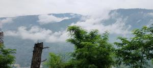 a view of a mountain with clouds and a tree at Dream destination in Kulu