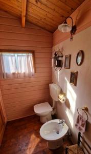 a bathroom with a toilet and a sink at Amore in Chianti in Greve in Chianti