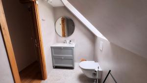a bathroom with a white toilet and a mirror at Jaani Mardi Puhkemaja in Sooaluse +13 photos