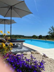 a picnic table and umbrella next to a swimming pool at Petit Rousset Gite Noyer in Eymet +12 photos