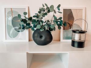 a vase with a plant on top of a shelf at Casa Bonita in Heikendorf