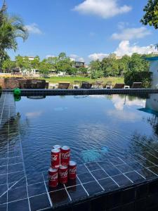 four coca cola cans are sitting in the water at i-river chiangmai in Chiang Mai