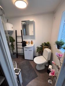 a bathroom with a toilet and a sink and a mirror at Murrebo citystay in Örebro
