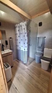 a bathroom with a shower and a toilet and a shower curtain at Adega do capitao in Piedade +14 photos