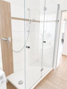 a shower with a glass door in a bathroom at Gut Rottmannshagen Mecklenburgische Seenplatte in Jürgenstorf +160 photos