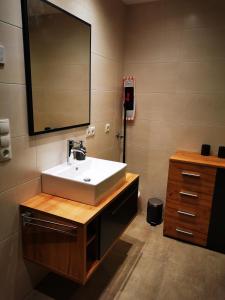 a bathroom with a white sink and a mirror at Apart Pichler in Schlitters +22 photos