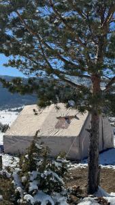 a tent with a bird on it next to a tree at Bosnian Nature Glamping in SJJ