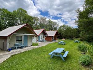 a picnic table in the grass in front of a cabin at BiesChatki in Wetlina