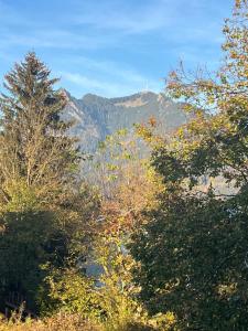 a group of trees with mountains in the background at Ferienwohnung Flynn in Sonthofen