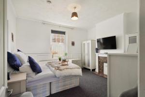 a bedroom with a bed with blue pillows and a television at Garden Flat In Watford in Watford West Station