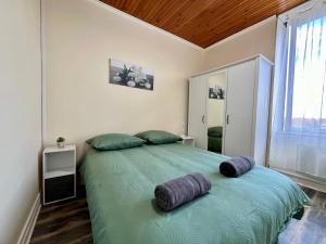 a bedroom with a large green bed with two pillows at L'essentiel Gare d'Oullins - 3 chambres - 15 min de Lyon in Oullins