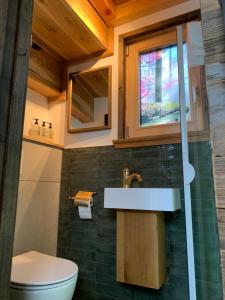 a bathroom with a sink and a toilet at Garnecker Freiheit in Reut