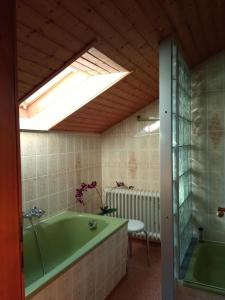 a bathroom with a green bath tub and a skylight at Fischer Willi in Bad Koetzting