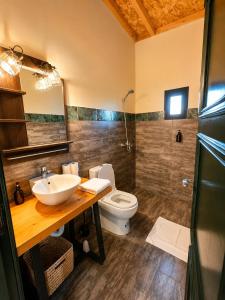 a bathroom with a sink and a toilet at Meezane Farmhouse in Bir Jedíd Saint-Hubert +22 photos