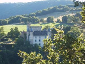 an old castle in the middle of a field at Chalet de campagne LAJA only 5 min from autoroute A75 in Léotoing