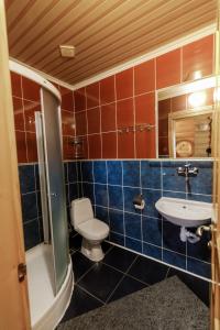 a bathroom with a toilet and a sink at Gostynniy Dvir Raytshtoky in Vorokhta +29 photos