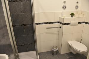 a bathroom with a shower and a toilet at Am Schloss 15 in Schwerin