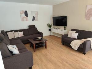 a living room with two couches and a tv at Relax Apartman Bükfürdő in Bükfürdő