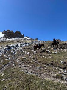 two people riding horses on a rocky mountain at Ночлег с завтраком in Dzhangyaryk