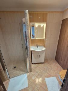 a bathroom with a shower and a sink at Wellness Villa close to Prague in Kuchař +2 photos