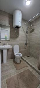 a bathroom with a toilet and a sink and a shower at Cherry Garden Apartment in Podgorica +17 photos
