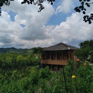 a building sitting in the middle of a field at Motena Guesthouse in Martvili