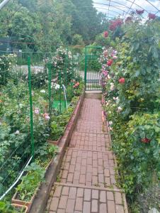 a brick path in a garden with flowers at Garsoniera 20m2 anexată la casa proprietarului in Botoşani