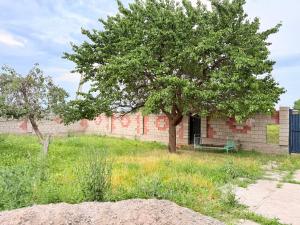 a tree in a field next to a brick building at Уютный дом GS in Kegeti