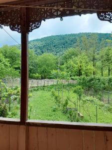 a view from a window of a field at Motena Guesthouse in Martvili