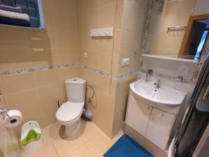a bathroom with a toilet and a sink at Summit Suite in Vysoké Tatry +10 photos