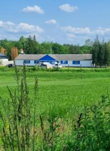 a field of grass with buildings in the background at DrótSzarvas Üdülőház in Bogács