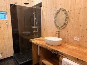 a bathroom with a sink and a shower with a mirror at Bornholm Eco Suites in Klemensker