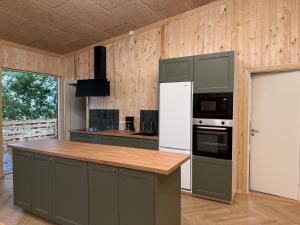 a kitchen with green cabinets and a counter top at Bornholm Eco Suites in Klemensker