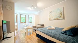 a bedroom with a bed and a tv and a chair at Apartamenty EverySky - Leśny Dom 16 - 18 in Karpacz