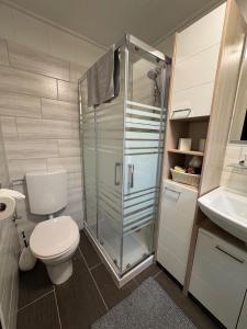 a bathroom with a toilet and a shower and a sink at Ferienhaus Conneforde in Wiefelstede