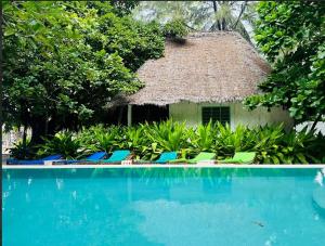 a resort swimming pool with chairs and a thatch roof at Garden Beach Bungalows Jambiani in Jambiani +80 photos