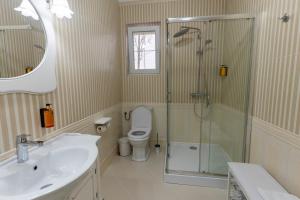a bathroom with a shower and a toilet and a sink at Crama Venetic in Prundeni