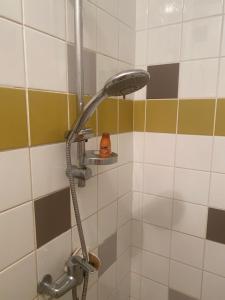 a shower with a shower head in a bathroom at Auberge de Lascours in Ceilhes-et-Rocozels
