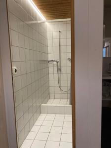 a bathroom with a shower with stairs in it at Hotel Genossenschaft Kreuz in Solothurn