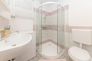a bathroom with a sink and a toilet and a shower at 3 Rivers Apartment in Radovljica