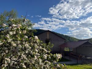 a building with a tree with white flowers in front of it at Dilisharm in Dilijan