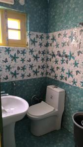 a bathroom with a toilet and a sink at Hotel green chinar & restaurant in Srinagar