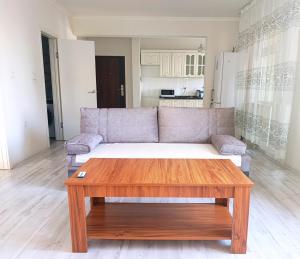 a living room with a couch and a coffee table at Darkhan apartment in Darhan