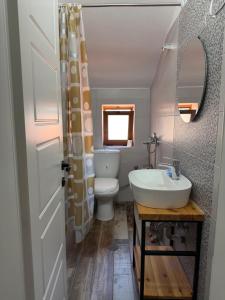 a bathroom with a sink and a toilet at Artist House in Pogradec